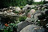 The pond and waterfall